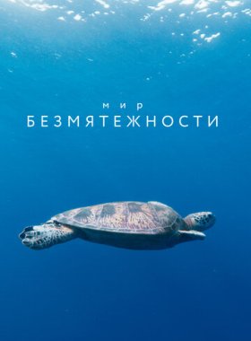 Мир безмятежности (2020)