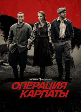Операция «Карпаты» (2024)