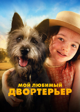 Мой любимый двортерьер (2024)